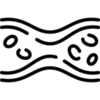 CARDIOVASCULAR HEALTH CARDIOVASCULAR HEALTH