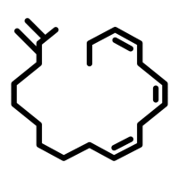 CHOLESTEROL OXIDATION CHOLESTEROL OXIDATION