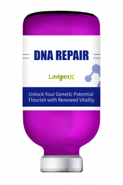 DNA Repair DNA Repair